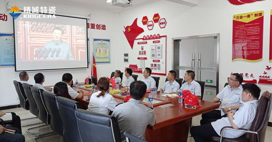 尊龙凯时人生就是搏特瓷党支部组织旁观庆祝中国共产党成立100周年大会现场直播