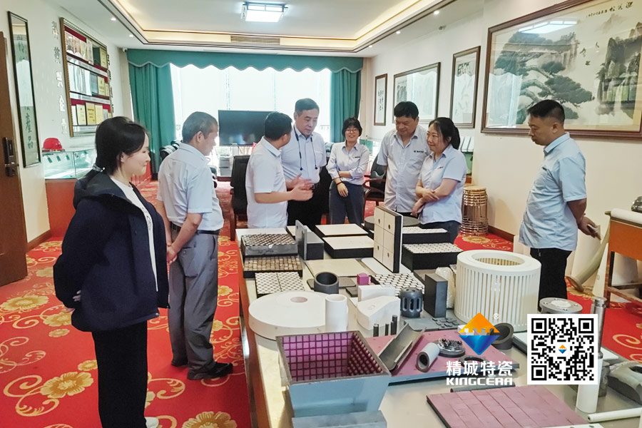 清华大学潘伟教授到访尊龙凯时人生就是搏特瓷
